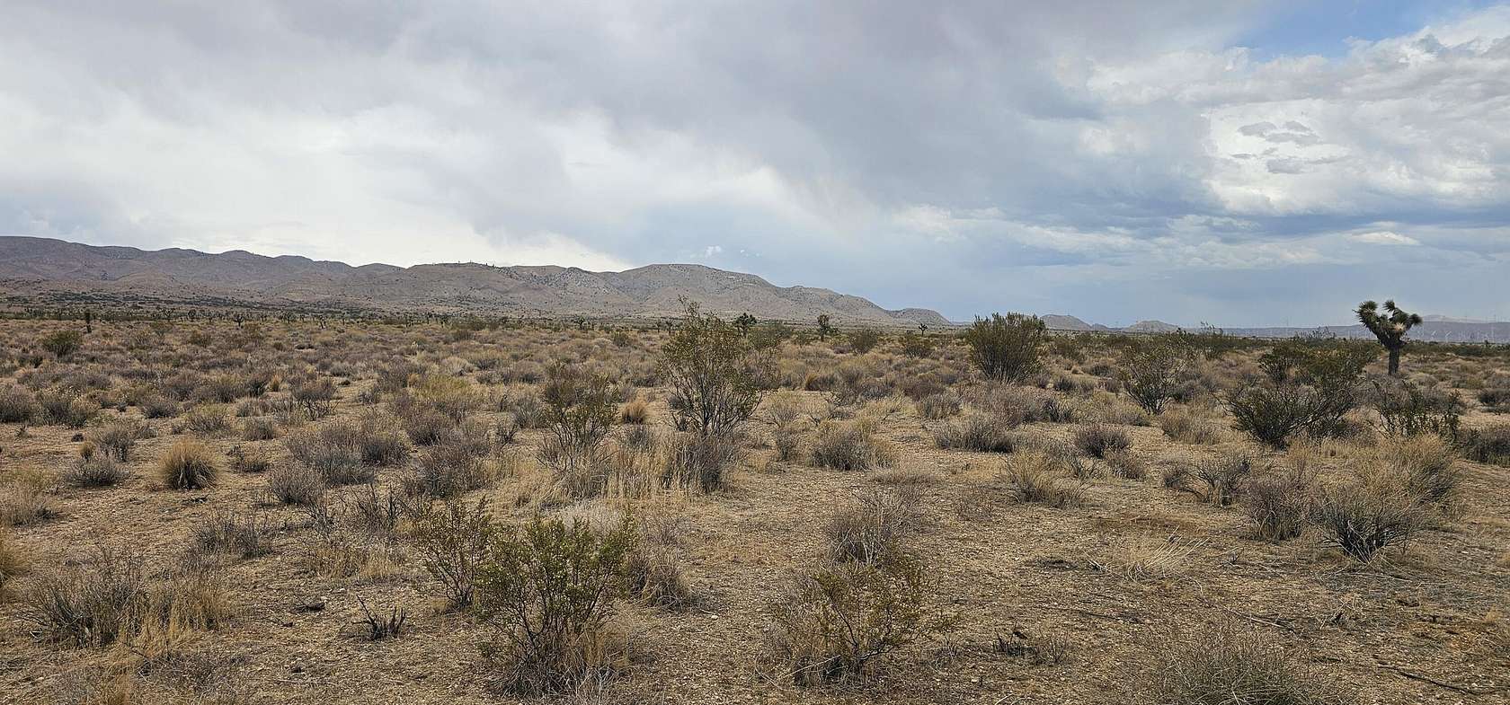 Residential Land for Sale in Rosamond, California