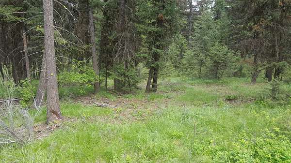 2.7 Acres of Land for Sale in Plains, Montana