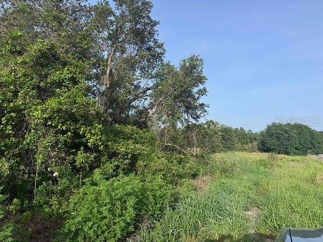 11.7 Acres of Land for Sale in Fort Meade, Florida