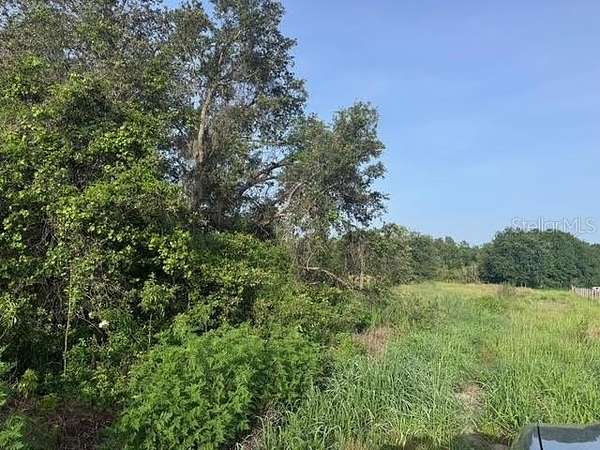 11.7 Acres of Land for Sale in Fort Meade, Florida