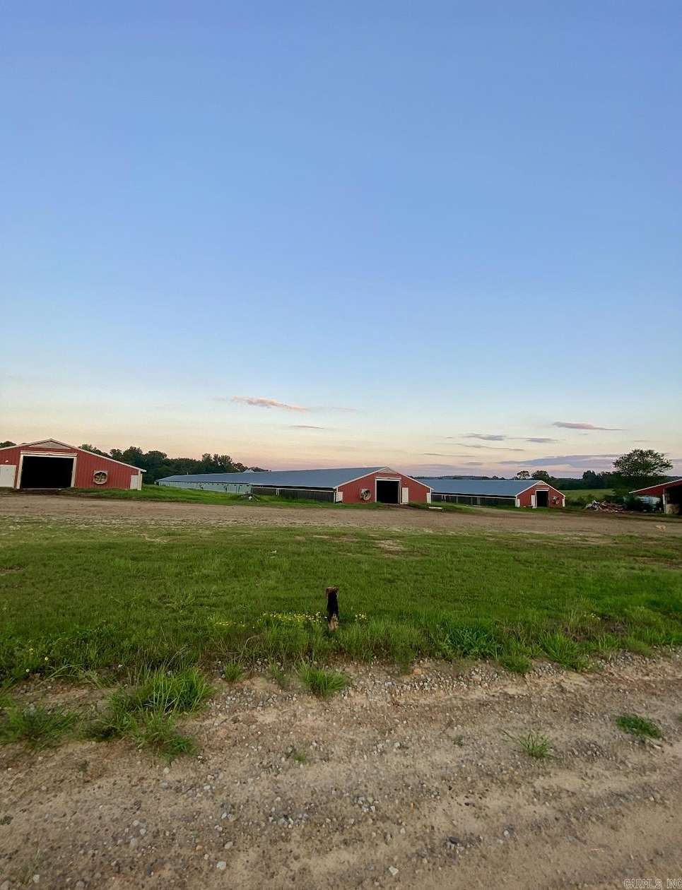 77.8 Acres of Improved Agricultural Land for Sale in Clarksville, Arkansas