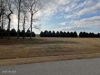 1 Acre of Residential Land for Sale in Merry Hill, North Carolina