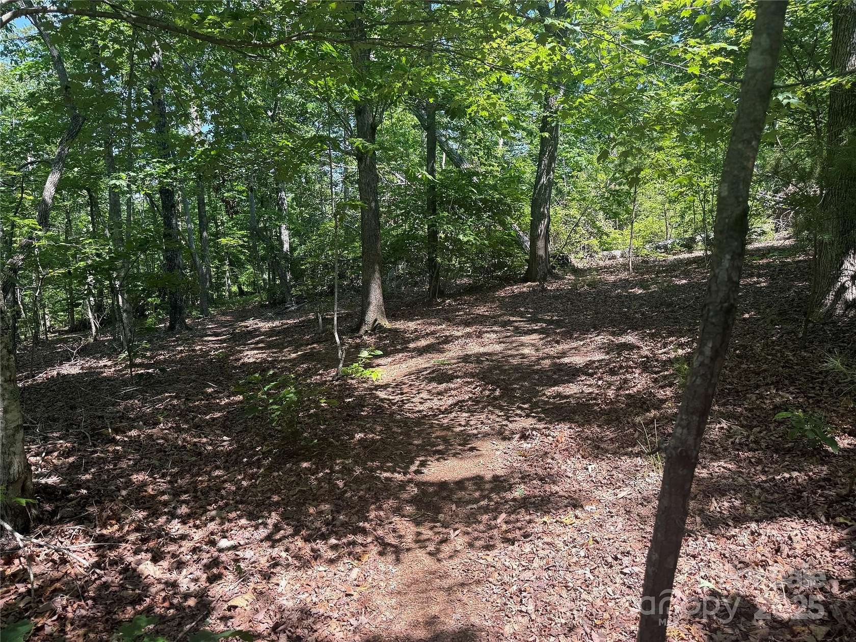 Residential Land for Sale in Nebo, North Carolina