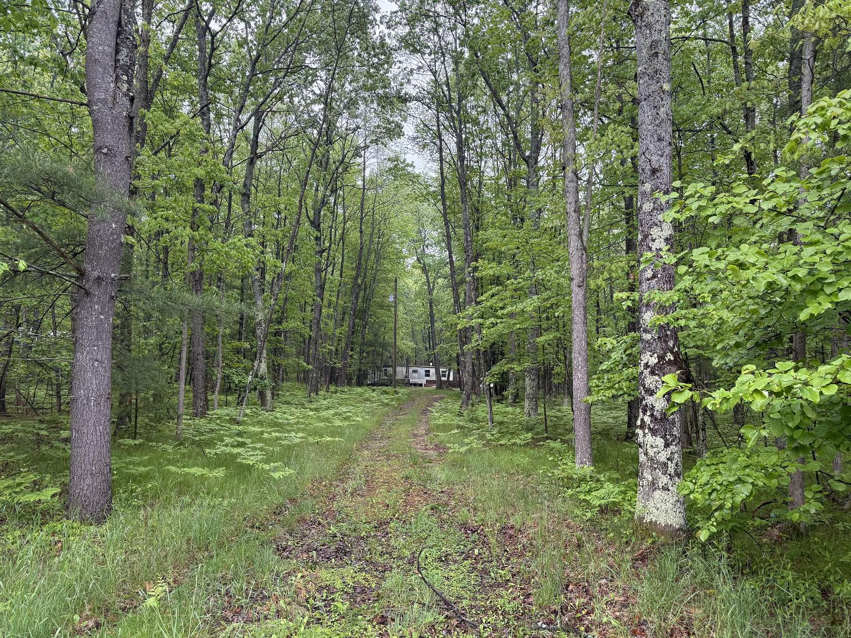 15 Acres of Recreational Land for Sale in Irons, Michigan