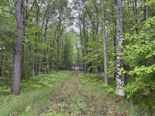 15 Acres of Recreational Land for Sale in Irons, Michigan
