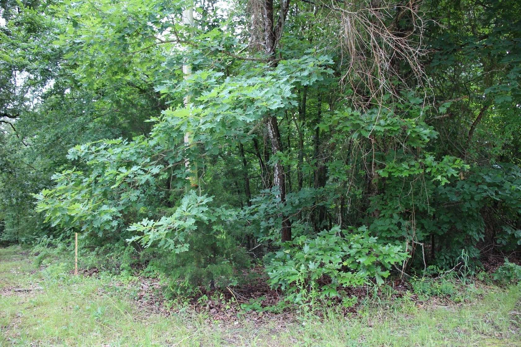 0.5 Acres of Land for Sale in Lakeview, Arkansas