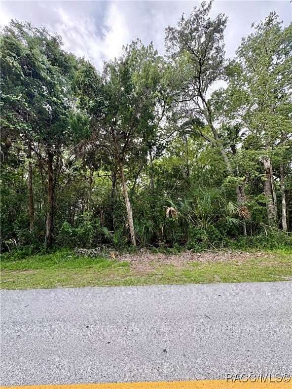 0.44 Acres of Residential Land for Sale in Crystal River, Florida