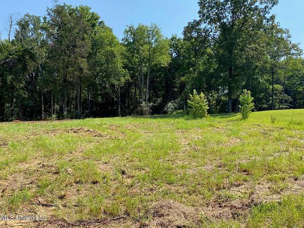 2.44 Acres of Residential Land for Sale in Byhalia, Mississippi