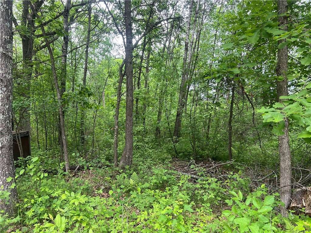 12.5 Acres of Recreational Land for Sale in Danbury, Wisconsin