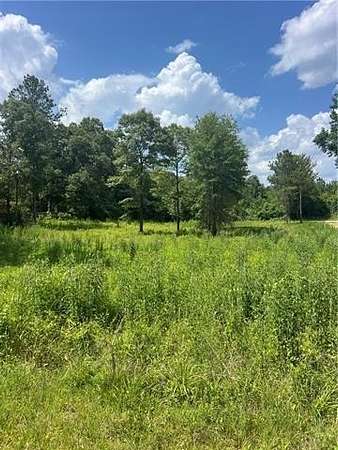 1 Acre of Residential Land for Sale in Pollock, Louisiana