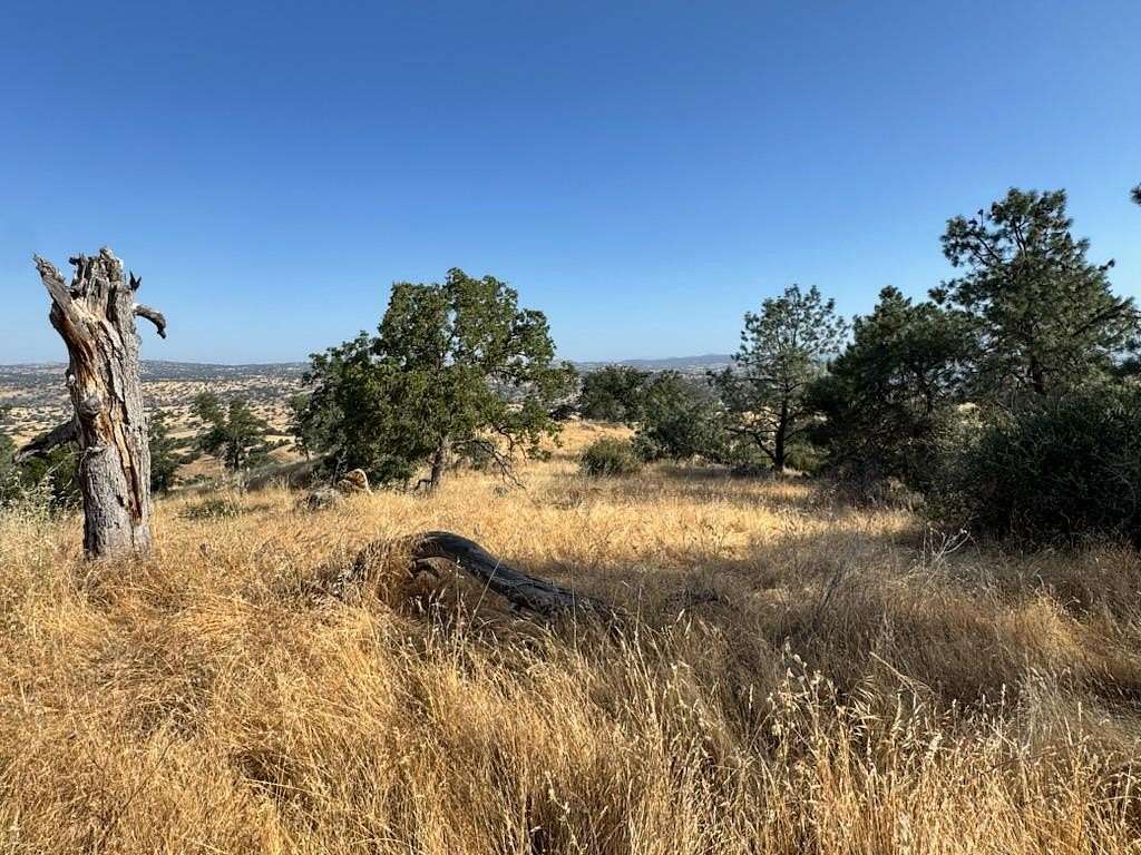 44 Acres of Land for Sale in Friant, California