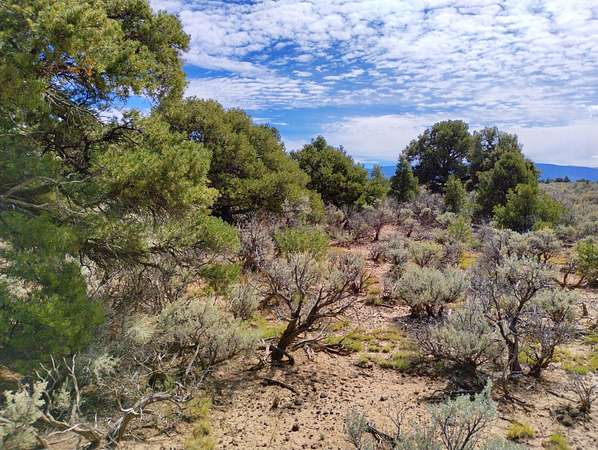 2.53 Acres of Land for Sale in San Luis, Colorado