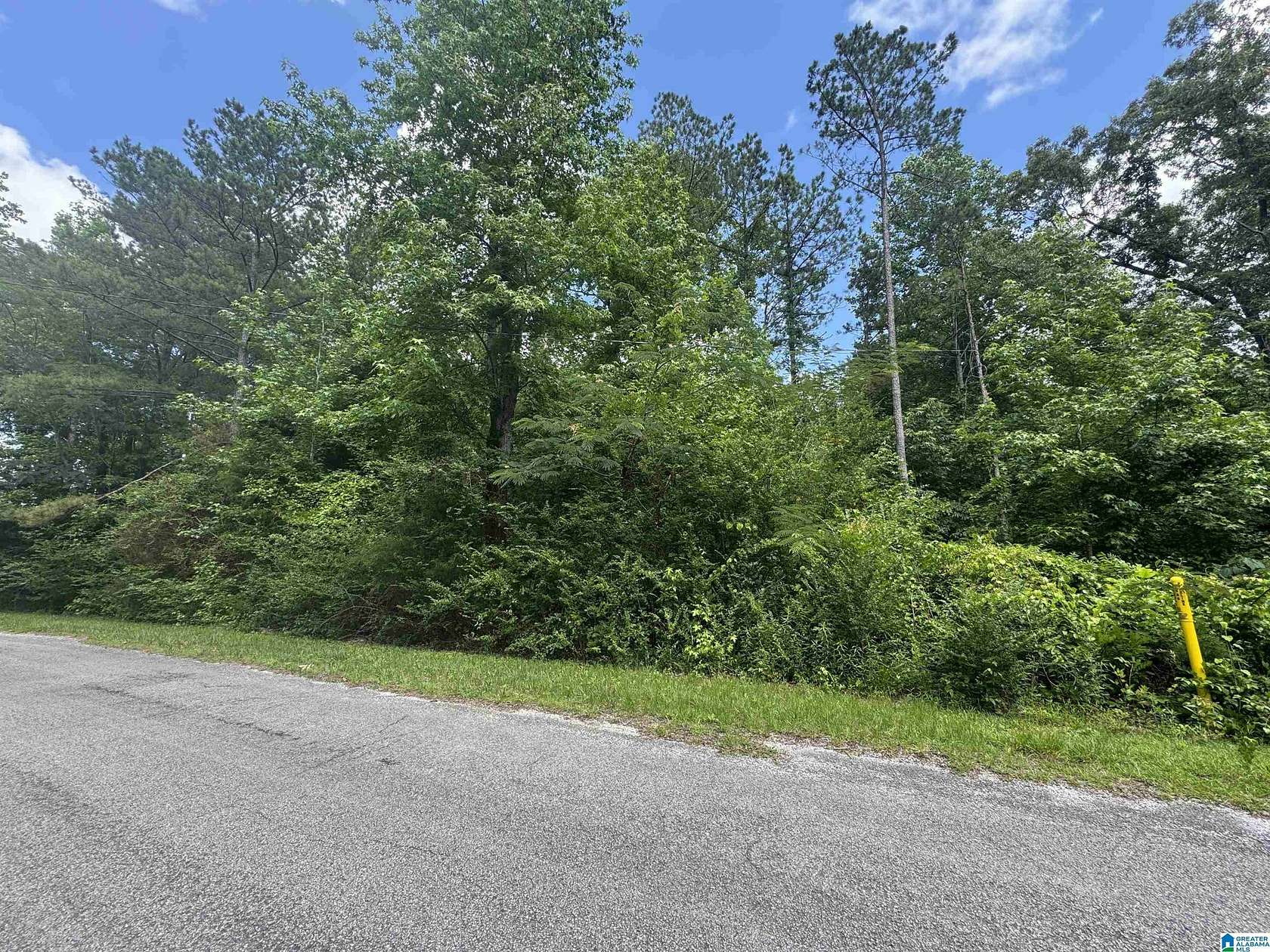 1 Acre of Land for Sale in Guin, Alabama
