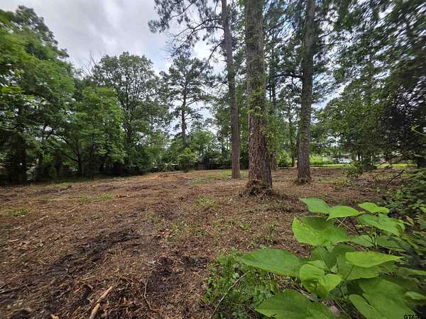 0.67 Acres of Residential Land for Sale in Chandler, Texas