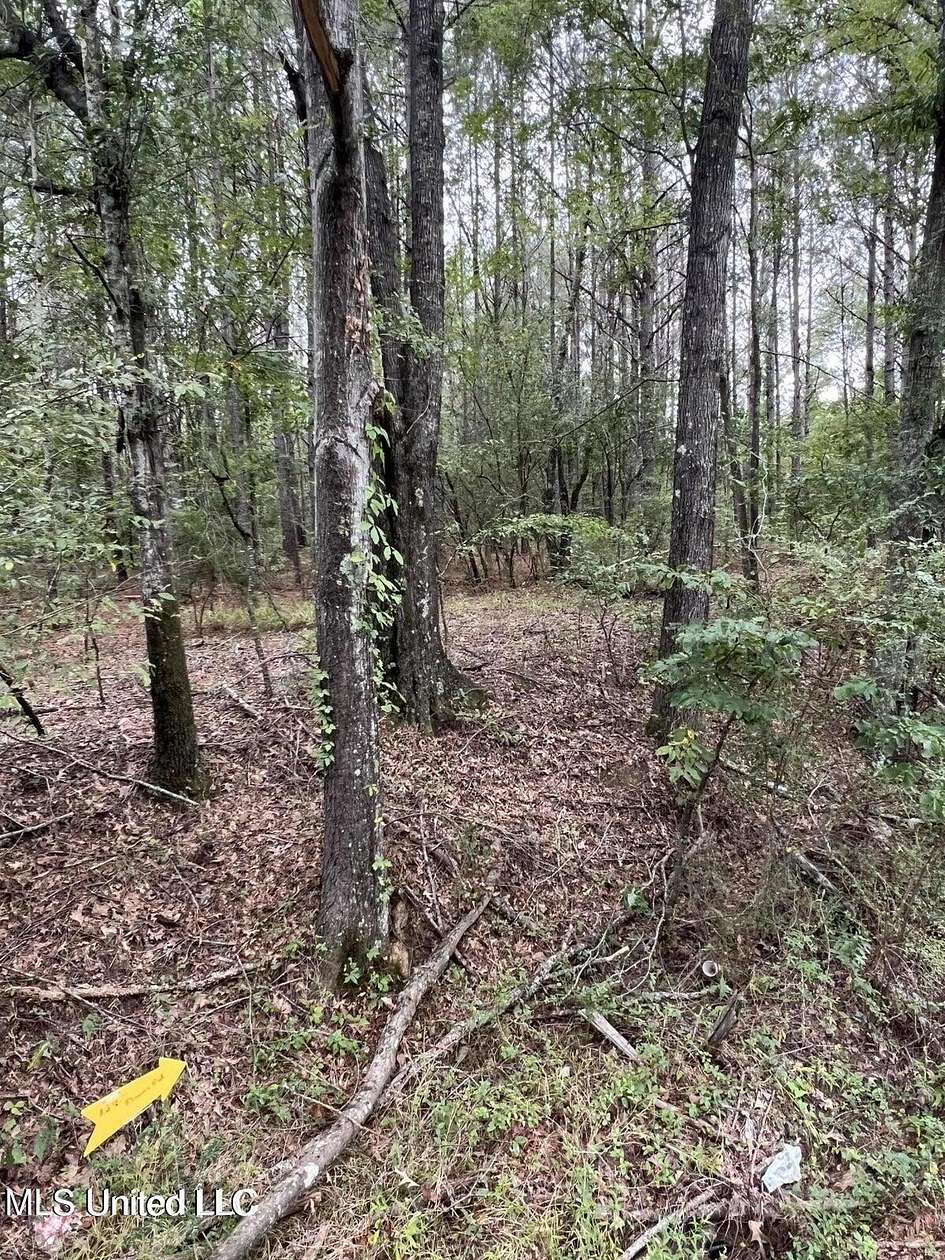 7.89 Acres of Land for Sale in Terry, Mississippi