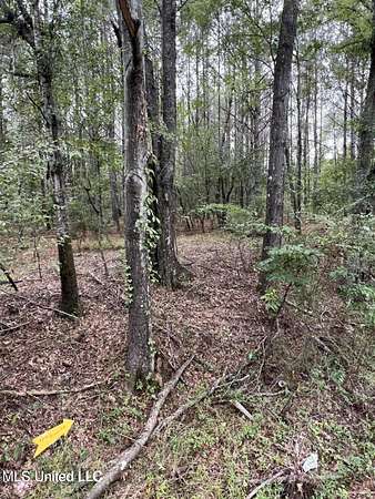 7.89 Acres of Land for Sale in Terry, Mississippi