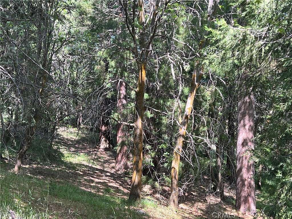 44.3 Acres of Recreational Land for Sale in Lake Arrowhead, California