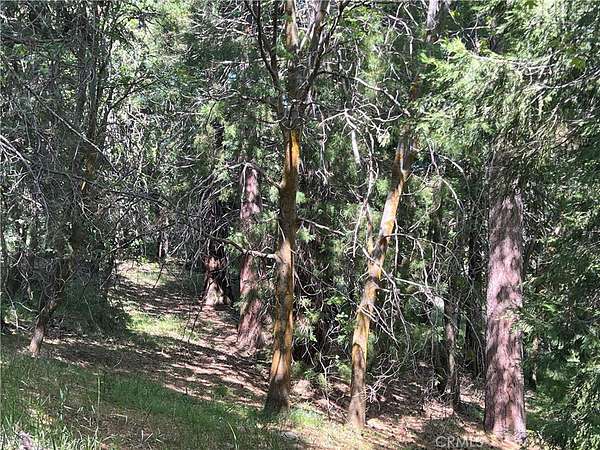 44.3 Acres of Recreational Land for Sale in Lake Arrowhead, California