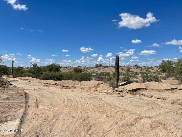 20 Acres of Agricultural Land for Sale in Arlington, Arizona