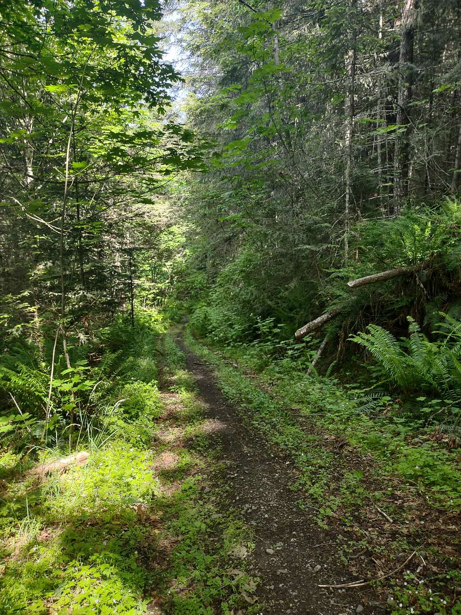52 Acres of Recreational Land for Sale in Port Angeles, Washington