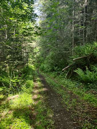 52 Acres of Recreational Land for Sale in Port Angeles, Washington