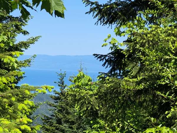 52 Acres of Recreational Land for Sale in Port Angeles, Washington