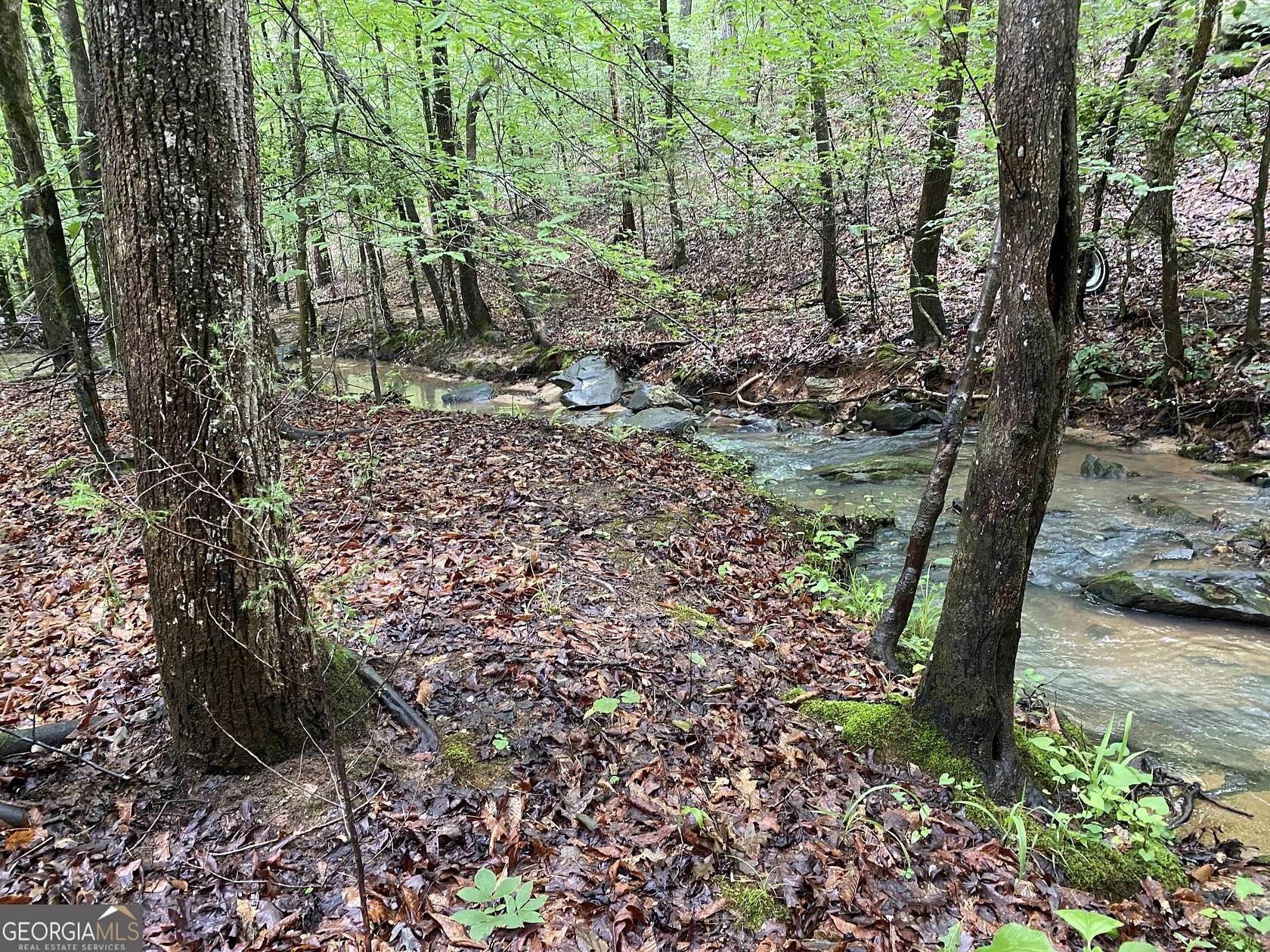 62.5 Acres of Recreational Land for Sale in Elberton, Georgia