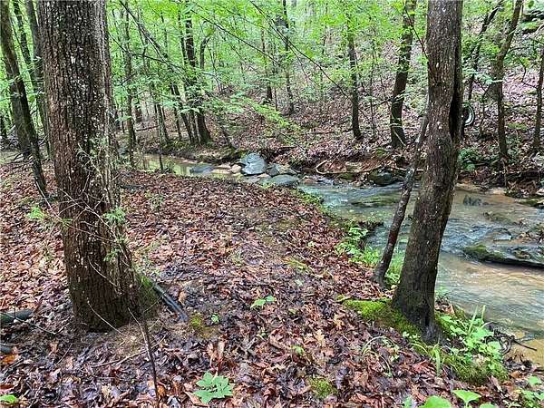 62.5 Acres of Recreational Land for Sale in Elberton, Georgia