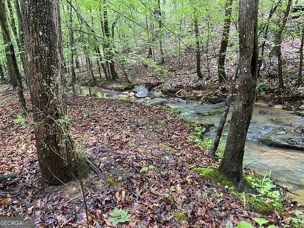 62.5 Acres of Recreational Land for Sale in Elberton, Georgia