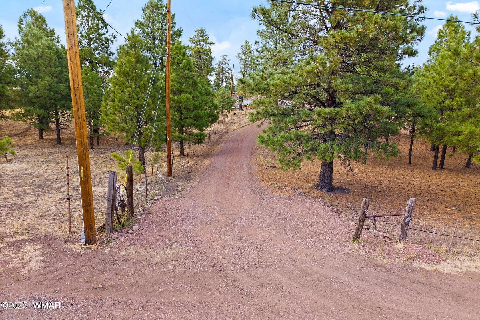 3 Acres of Residential Land for Sale in Alpine, Arizona