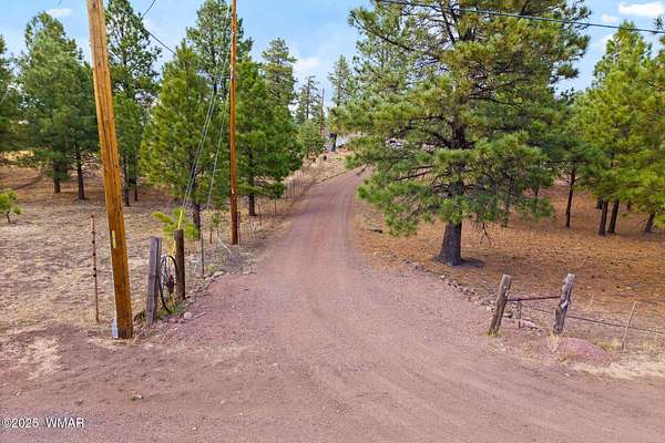 3 Acres of Residential Land for Sale in Alpine, Arizona
