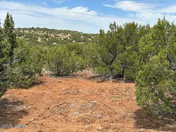 1.16 Acres of Residential Land for Sale in Concho, Arizona
