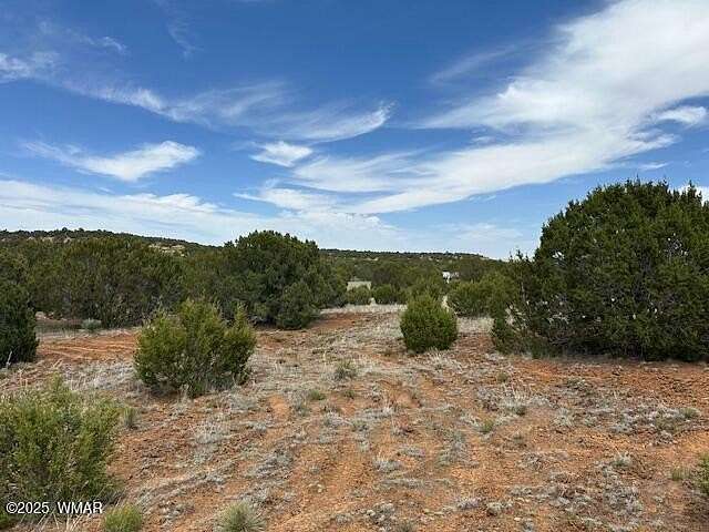 1.18 Acres of Residential Land for Sale in Concho, Arizona