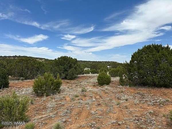 1.18 Acres of Residential Land for Sale in Concho, Arizona