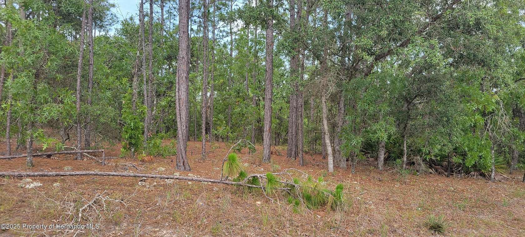 0.23 Acres of Residential Land for Sale in Citrus Springs, Florida