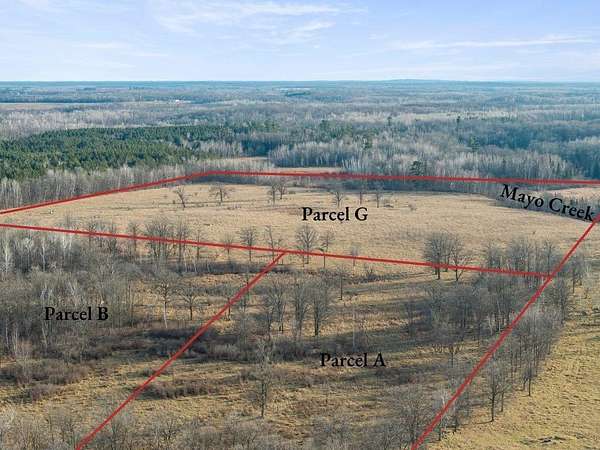 40 Acres of Land for Sale in Pequot Lakes, Minnesota