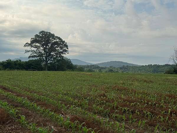 27.4 Acres of Land for Sale in Byrdstown, Tennessee