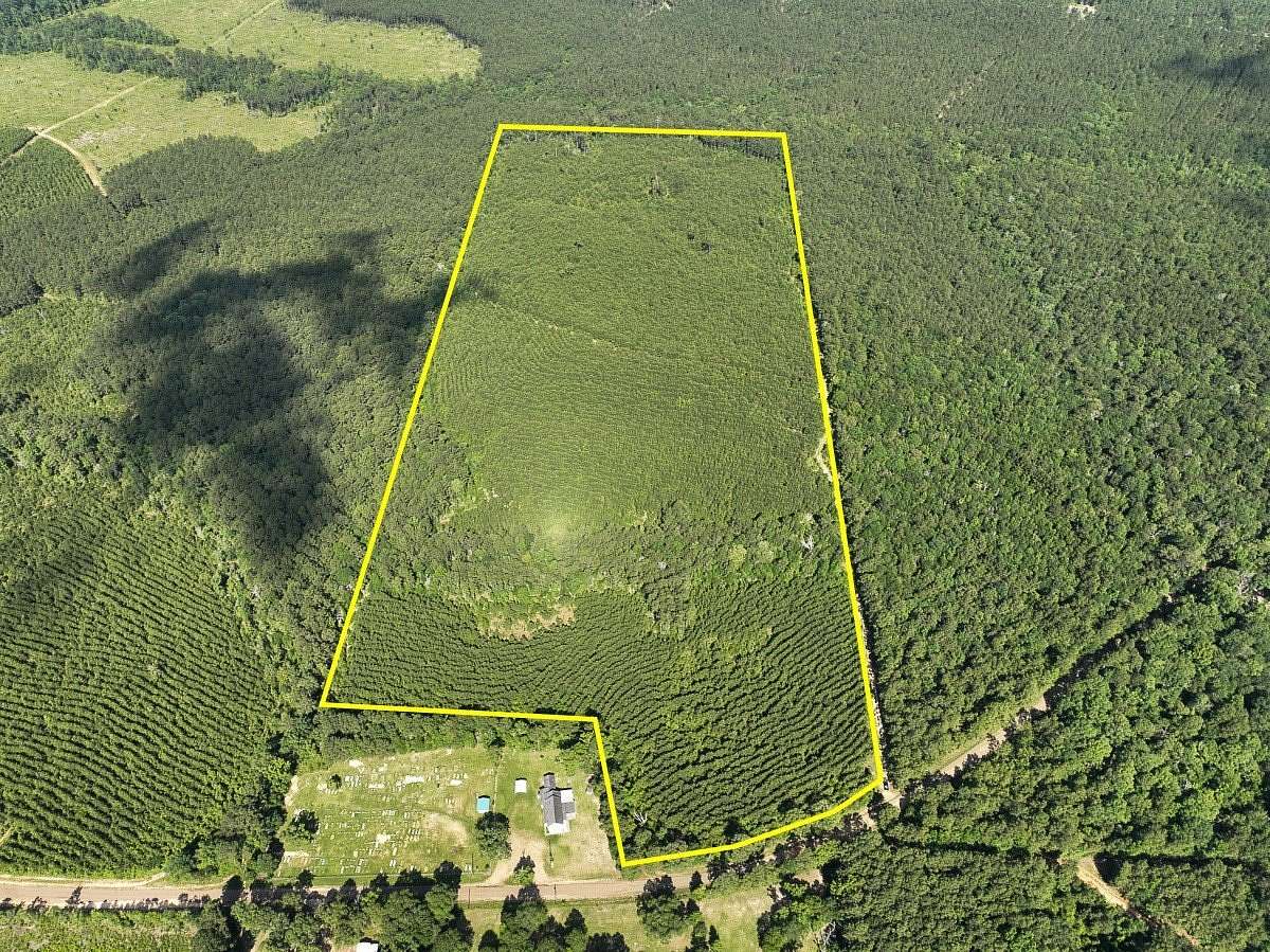 60 Acres of Recreational Land for Sale in Woodville, Texas