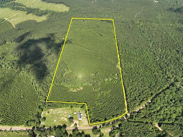 60 Acres of Recreational Land for Sale in Woodville, Texas
