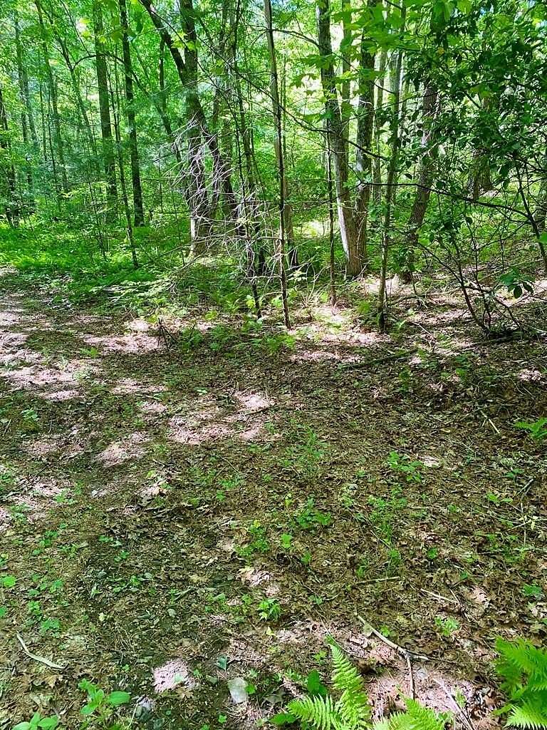 Residential Land for Sale in Robbinsville, North Carolina