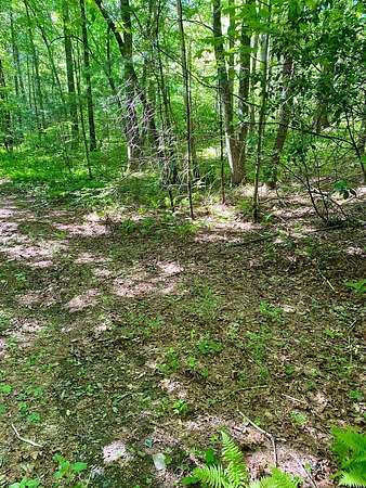 Residential Land for Sale in Robbinsville, North Carolina