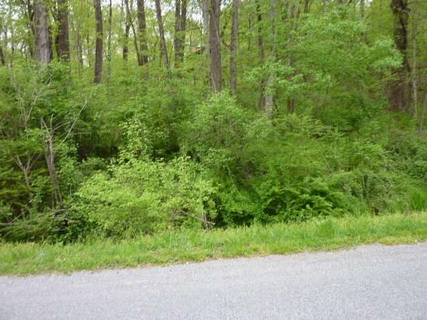 0.5 Acres of Residential Land for Sale in Salem, Virginia