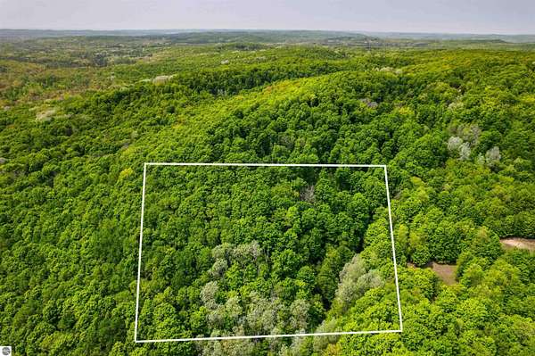 10 Acres of Recreational Land for Sale in Mancelona, Michigan