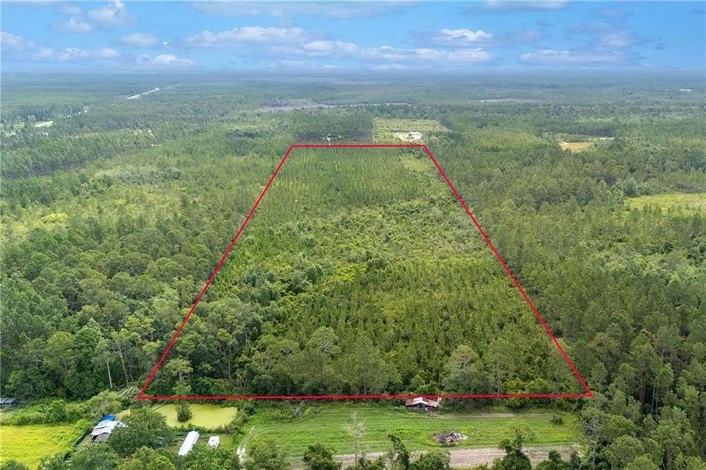 31.8 Acres of Agricultural Land for Sale in Manor, Georgia
