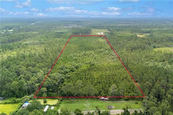 31.8 Acres of Agricultural Land for Sale in Manor, Georgia