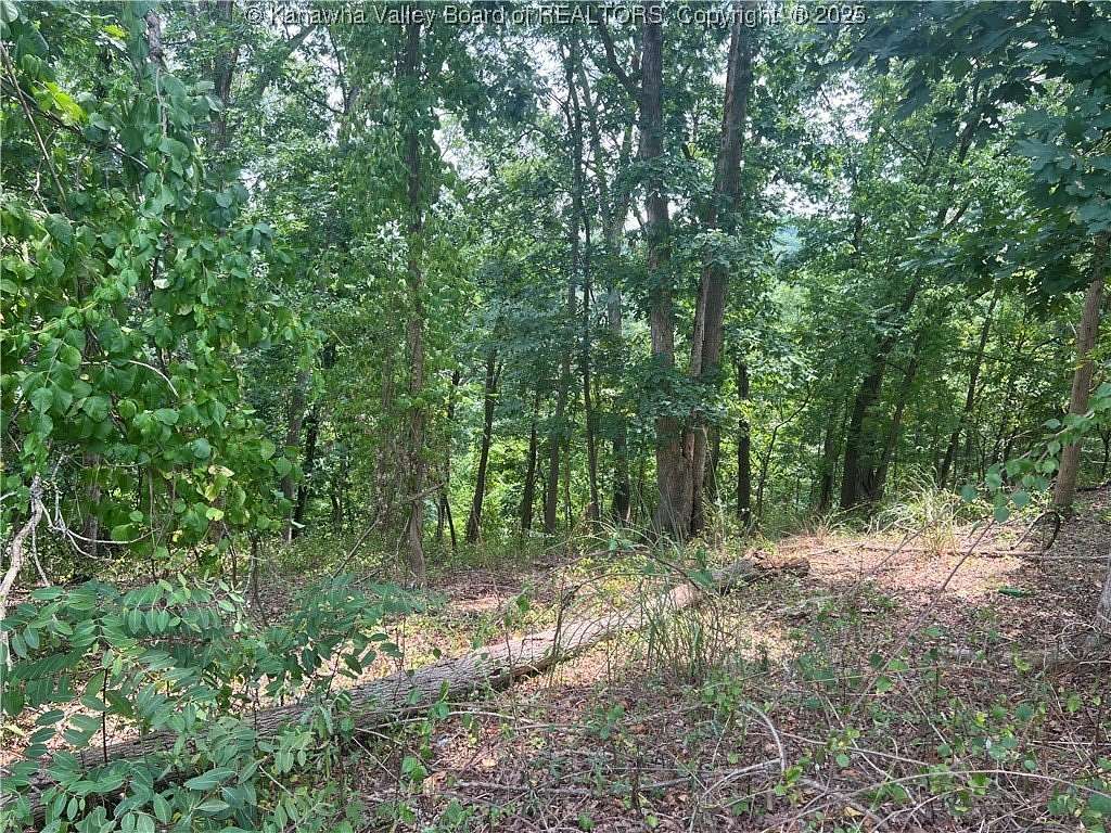 0.43 Acres of Residential Land for Sale in Charleston, West Virginia