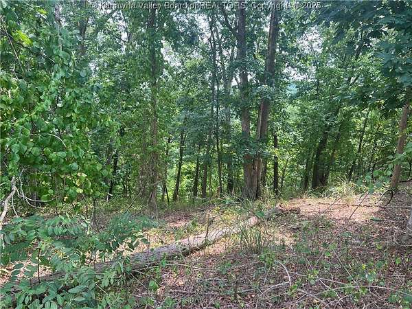 0.43 Acres of Residential Land for Sale in Charleston, West Virginia