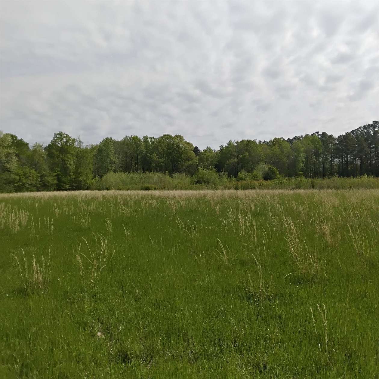 5 Acres of Land for Sale in Lakeland, Tennessee