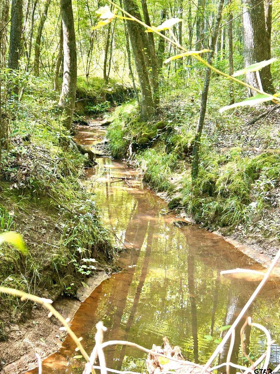 12.4 Acres of Recreational Land for Sale in Marshall, Texas