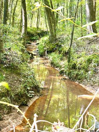 12.4 Acres of Recreational Land for Sale in Marshall, Texas